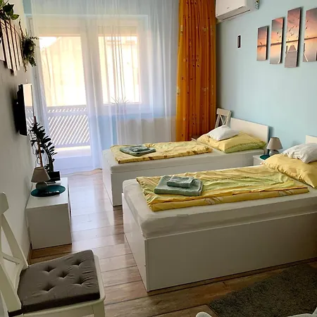Aloé Sopron